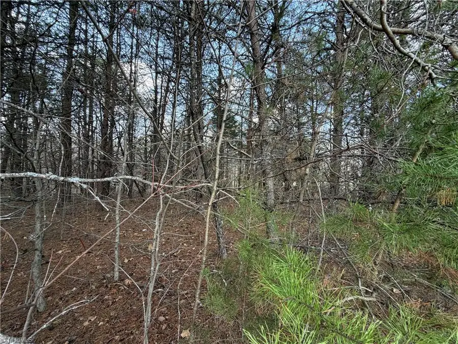 0 Grooms Road, Reidsville, NC 27320 - #3