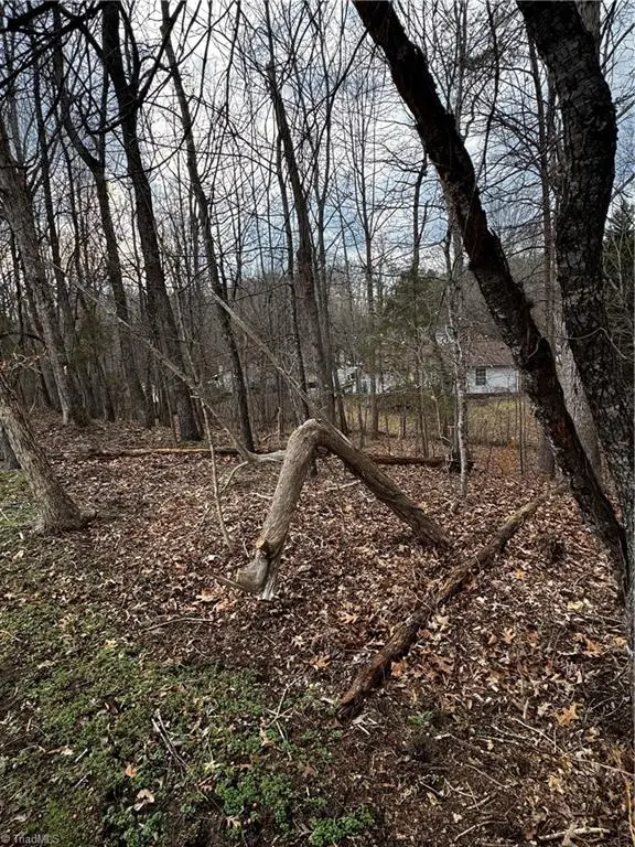 2703 Camillia Cove, High Point, NC 27265 - #1