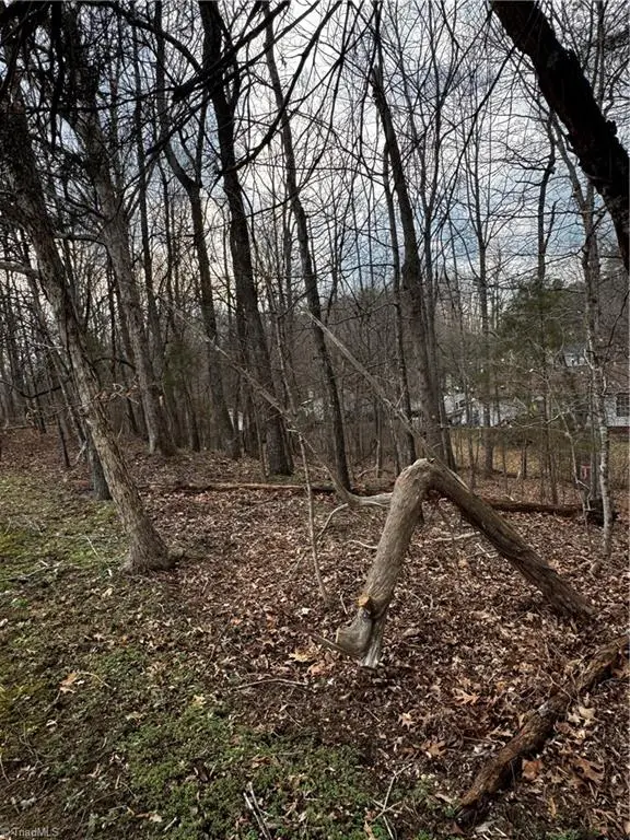 2703 Camillia Cove, High Point, NC 27265 - #2