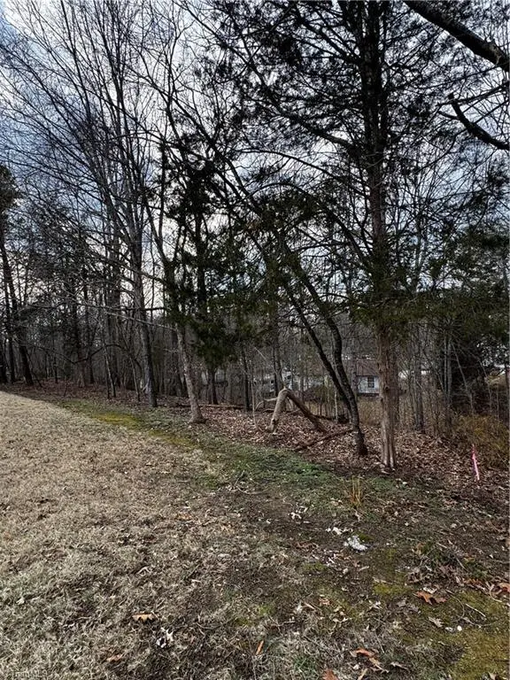 2703 Camillia Cove, High Point, NC 27265 - #3