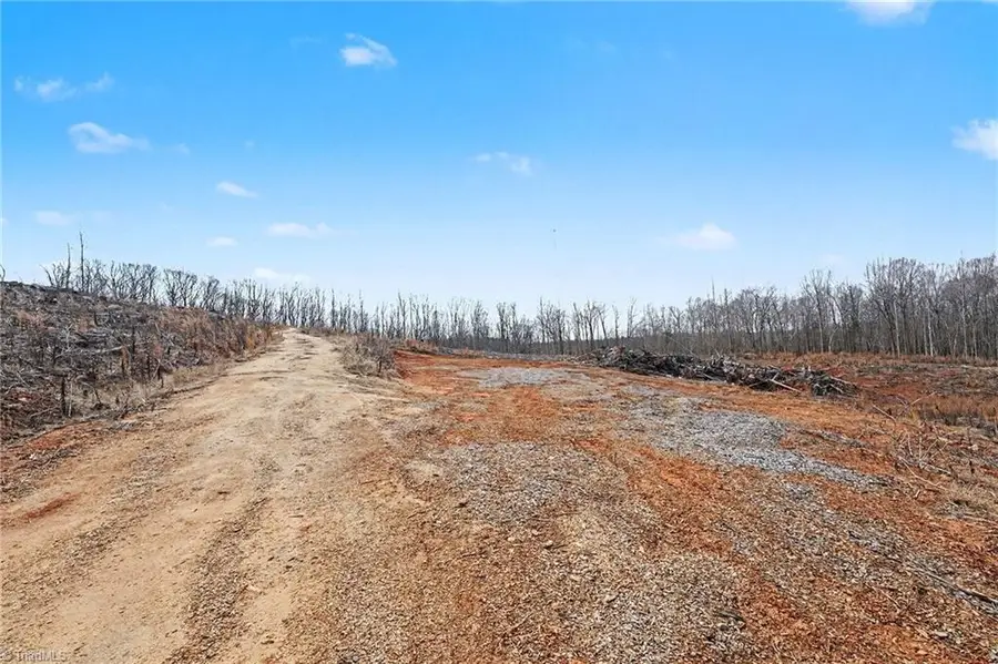 0 Holder Inman Road, Randleman, NC 27317 - #3