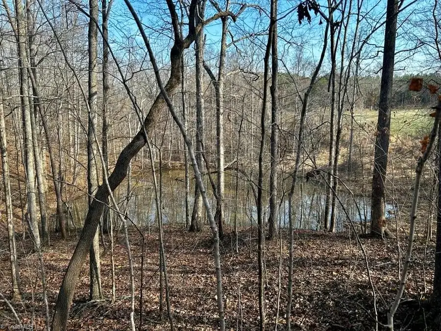 11.05 ACRES Elmore Road, Leasburg, NC 27291 - #2