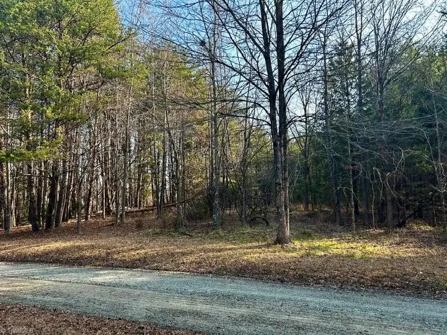 11.05 ACRES Elmore Road, Leasburg, NC 27291 - #3