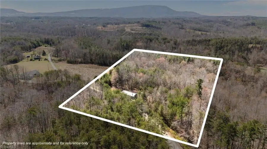 1202 Farm Road, Pilot Mountain, NC 27041 - #3