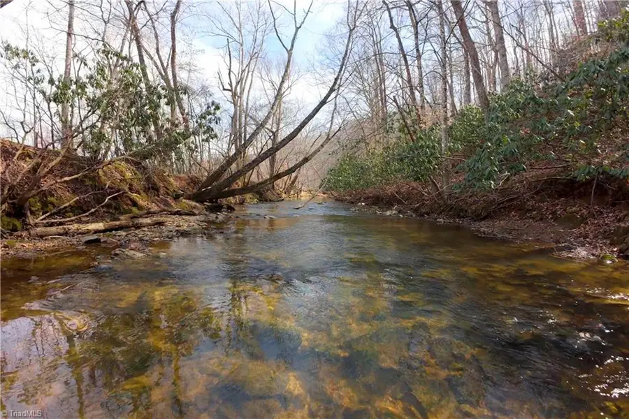 3364 Nc Highway 66 S, Westfield, NC 27053 - #2