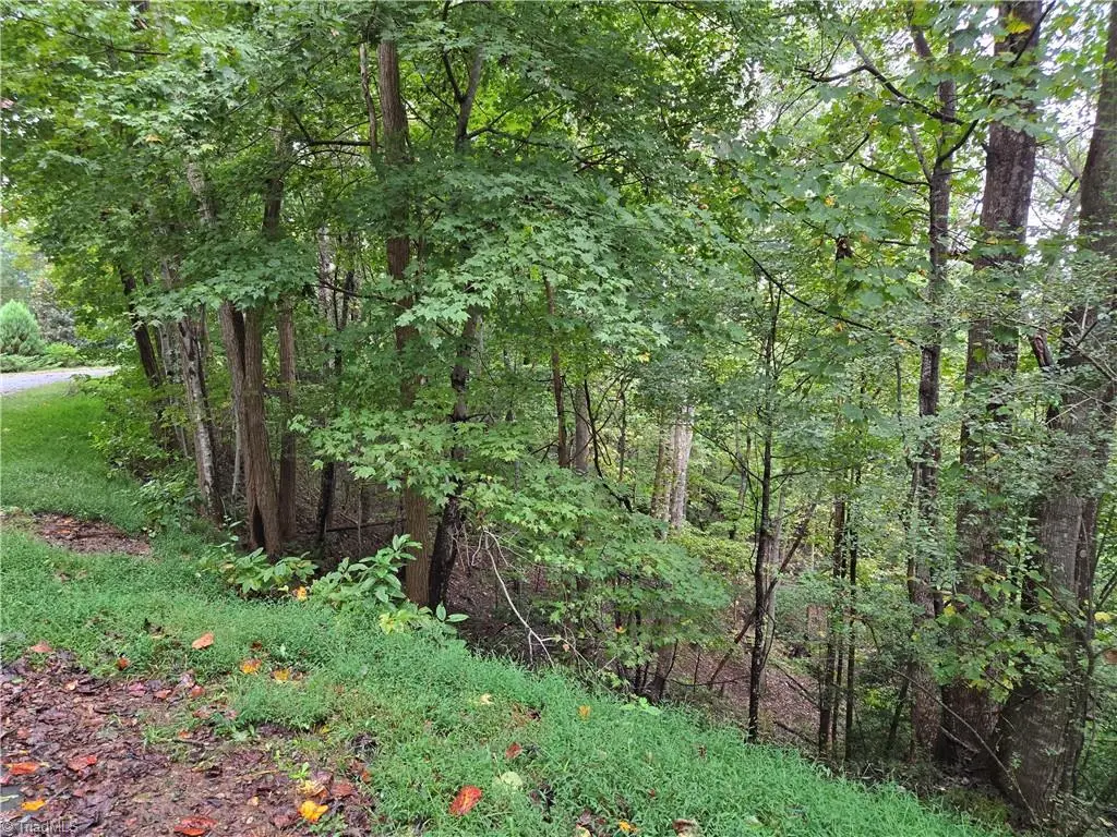 0 Waterside Drive, Lake Lure, NC 28746 - #1