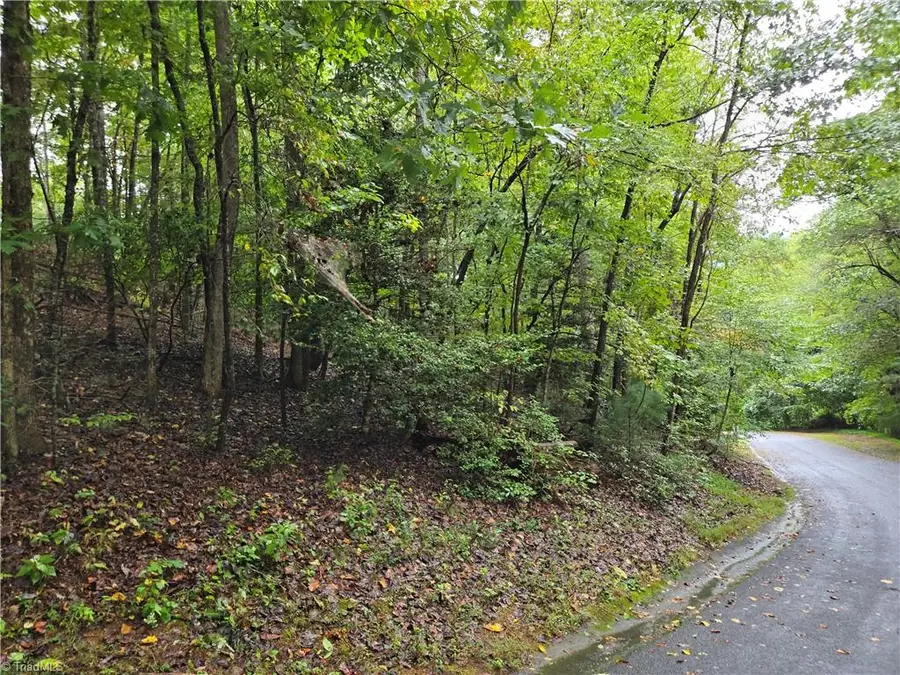 0 Waterside Drive, Lake Lure, NC 28746 - #2
