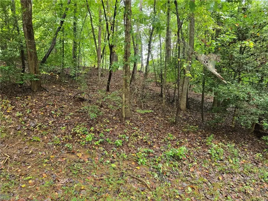 0 Waterside Drive, Lake Lure, NC 28746 - #3