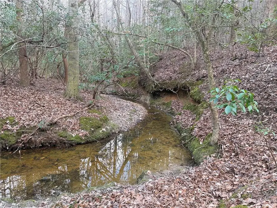 Lot 8 Thompson Road, Seagrove, NC 27341 - #2