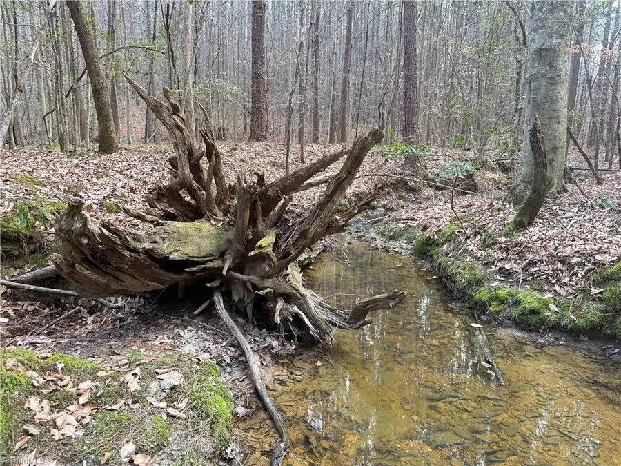 Lot 8 Thompson Road, Seagrove, NC 27341 - #3