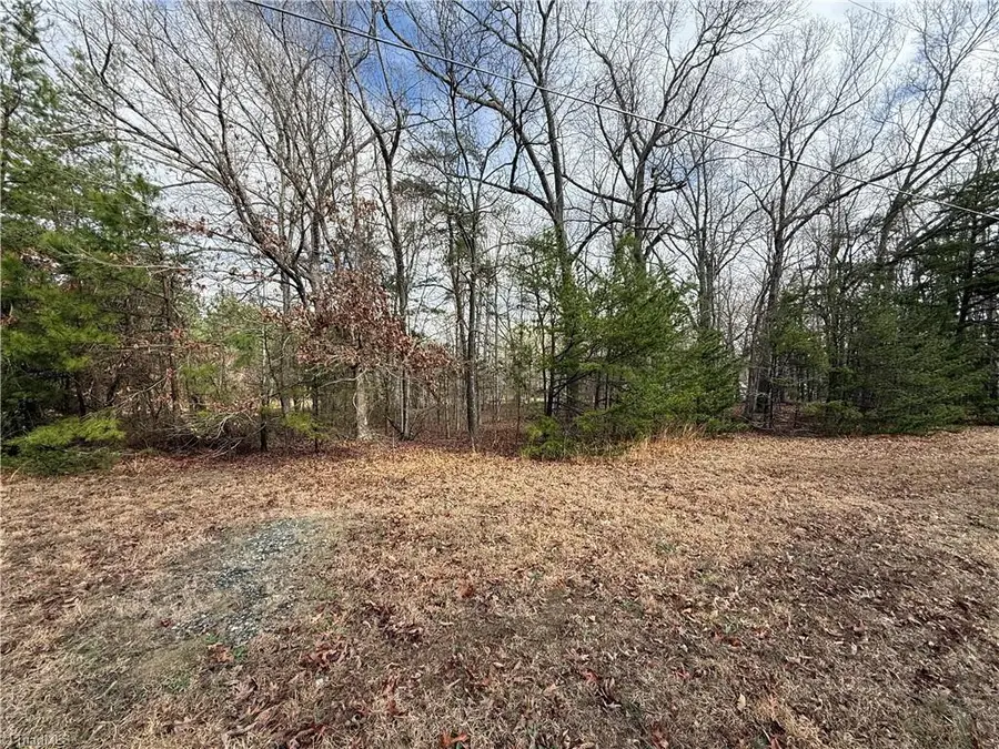 5101 Watchtower Road, Julian, NC 27283 - #3