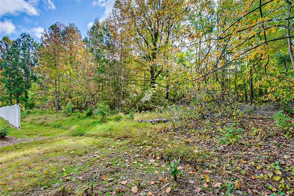 2405 Poole Town Road, Asheboro, NC 27205 - #1