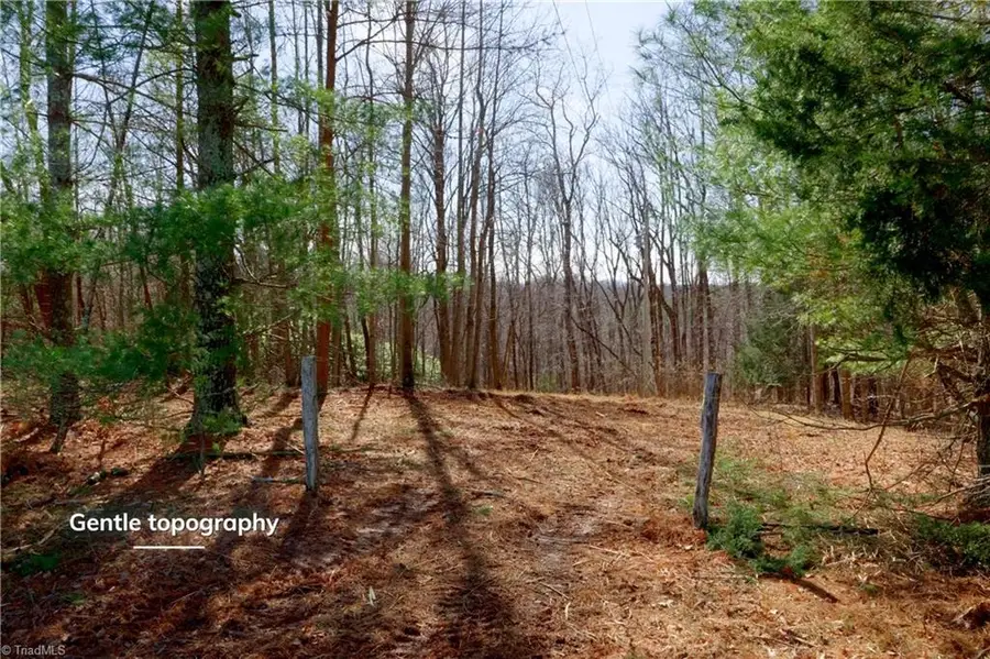 2482 Sisk Road, Lawsonville, NC 27022 - #2