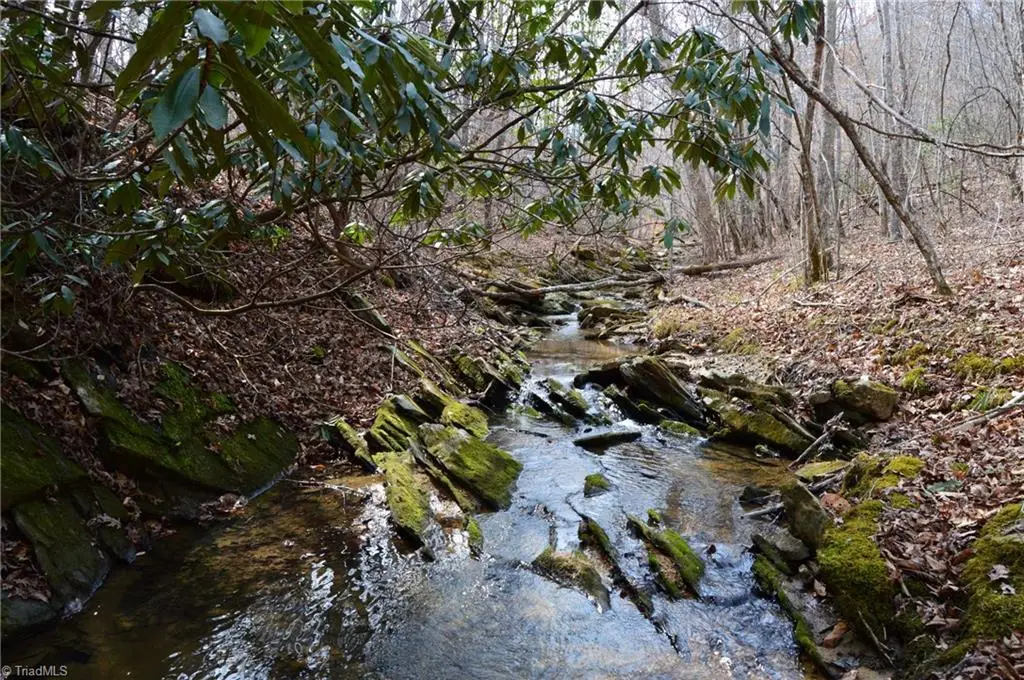 1284-1516 Tom Mix Road #95.93 +/- Ac Tract, Westfield, NC 27053 - #1