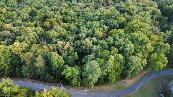 593 Boulder Ridge Drive, Denton, NC 27239