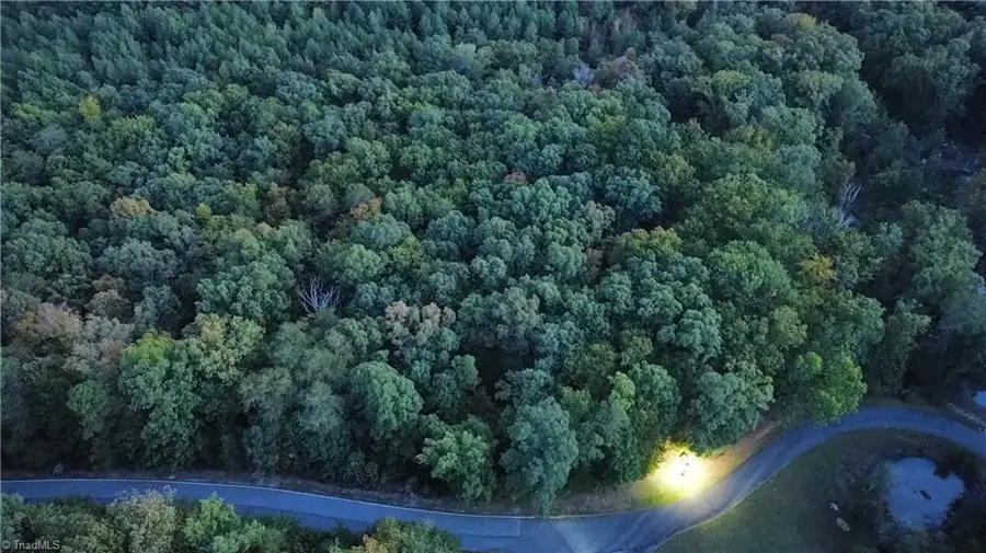 593 Boulder Ridge Drive, Denton, NC 27239 - #3