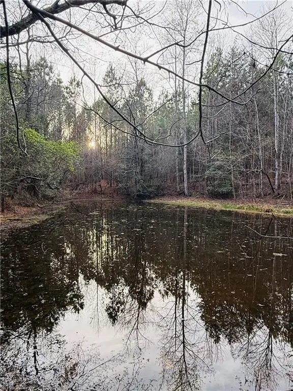 00 Mack Road, Seagrove, NC 27341 - #3