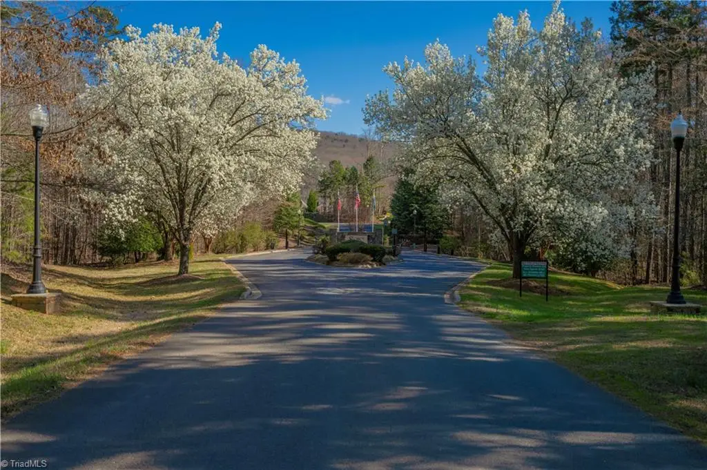 288 Emerald Isle Court, Lexington, NC 27292 - #1