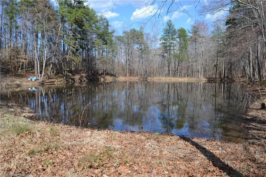 599 Nc Highway 770, Mayodan, NC 27027 - #3