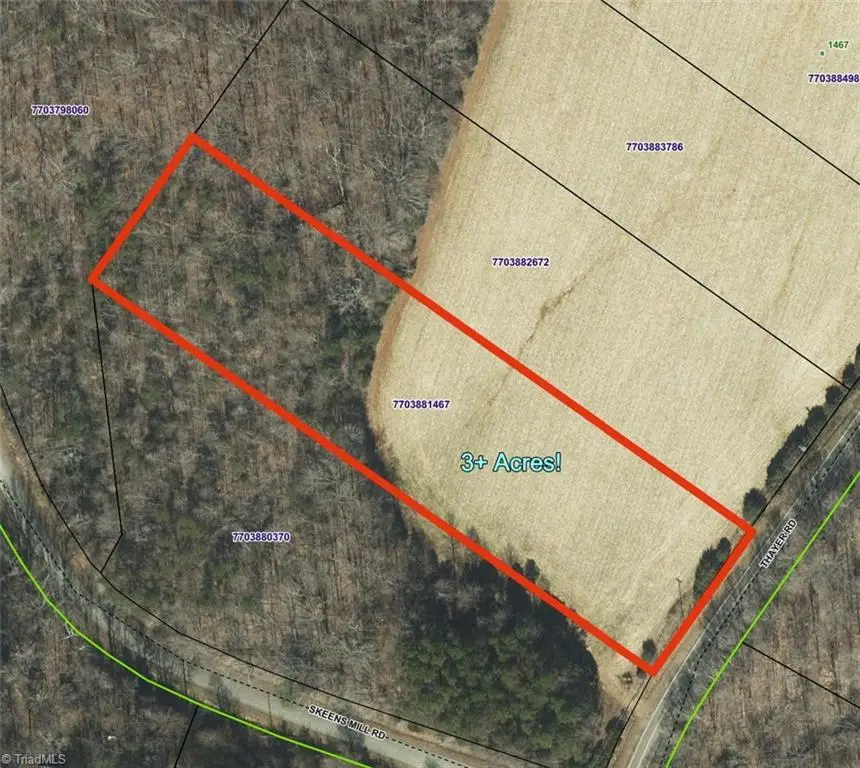 Lot #2 Thayer Road, Trinity, NC 27370 - #1
