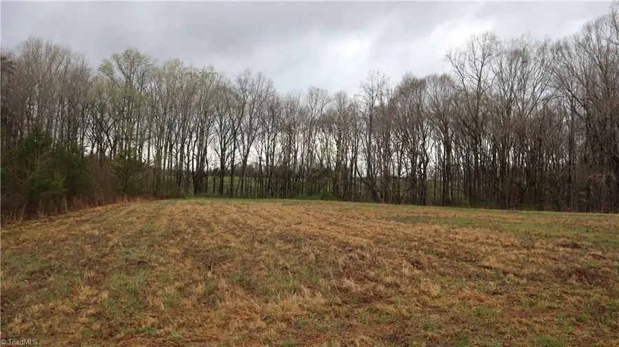 612 Arvin Hill Lane, Lexington, NC 27295 - #3