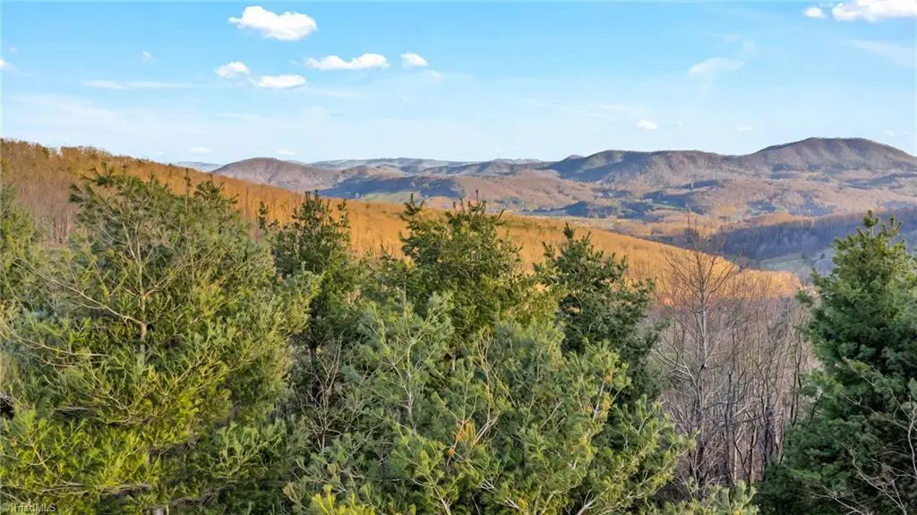 TBD Lauren Lane, West Jefferson, NC 28694 - #1