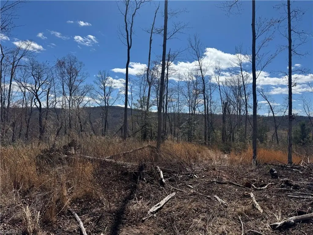 00 Billings Hill Church Road, Traphill, NC 28685 - #1