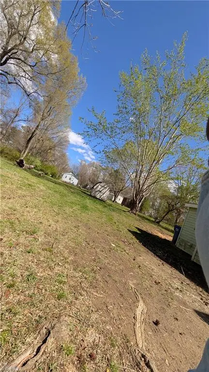 107 Murphy Street, Liberty, NC 27298 - #3