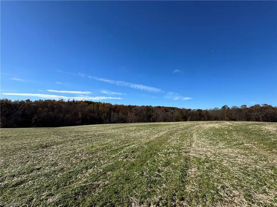 00 Grover Simmons Road, Dobson, NC 27017 - #3