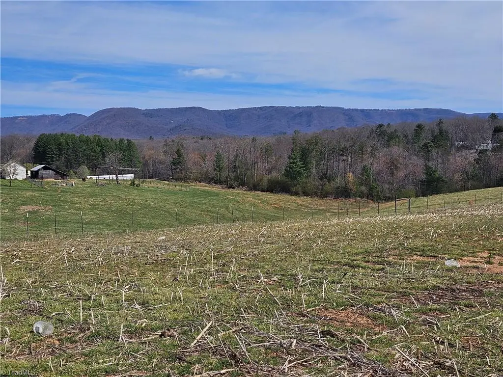 00 Willas Gap Road #43, Ararat, VA 24053 - #1