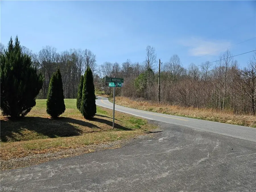 00 Willas Gap Road #43, Ararat, VA 24053 - #3