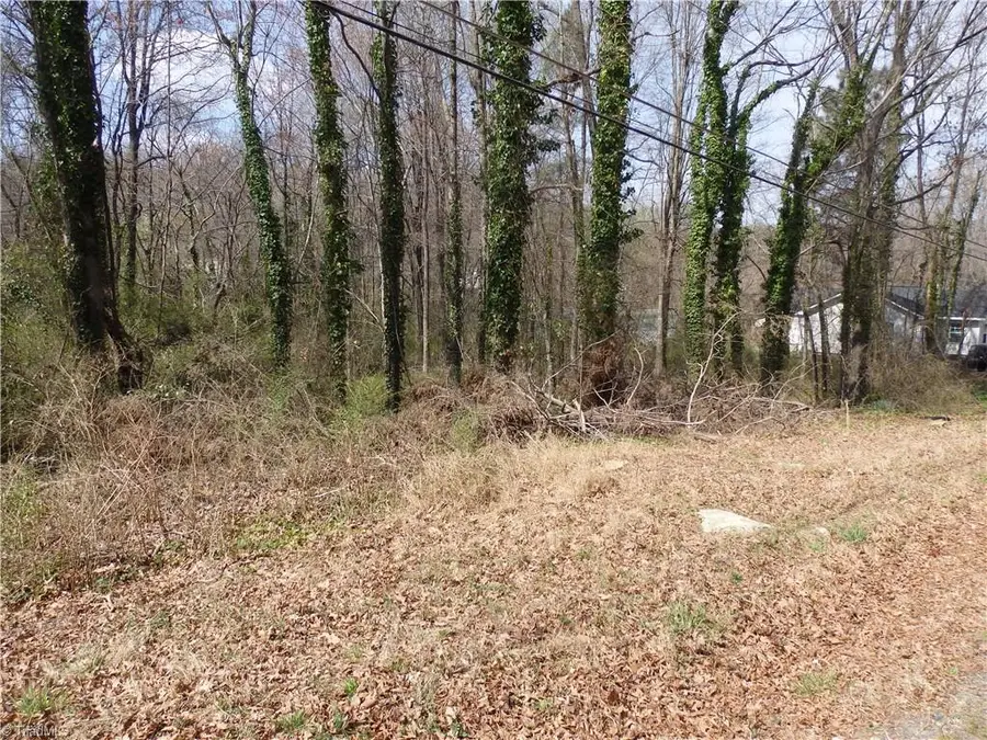 0 Chestnut Street, Asheboro, NC 27203 - #3