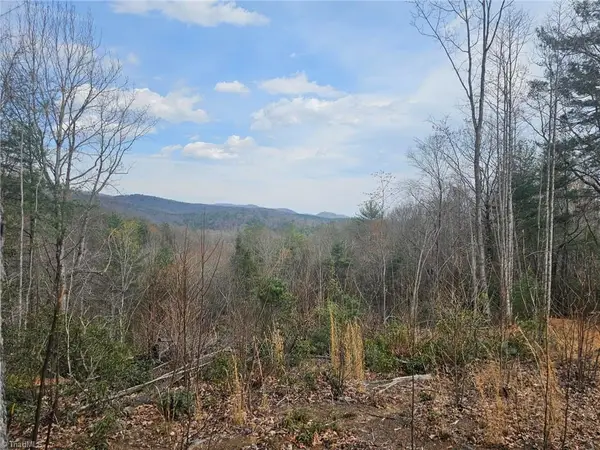 Lot 2 Widow Mountain Drive, McGrady, NC 28635