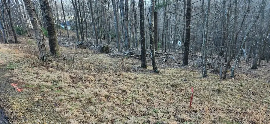 TBD Gulch Road #1,2,3, Ararat, VA 24053 - #3