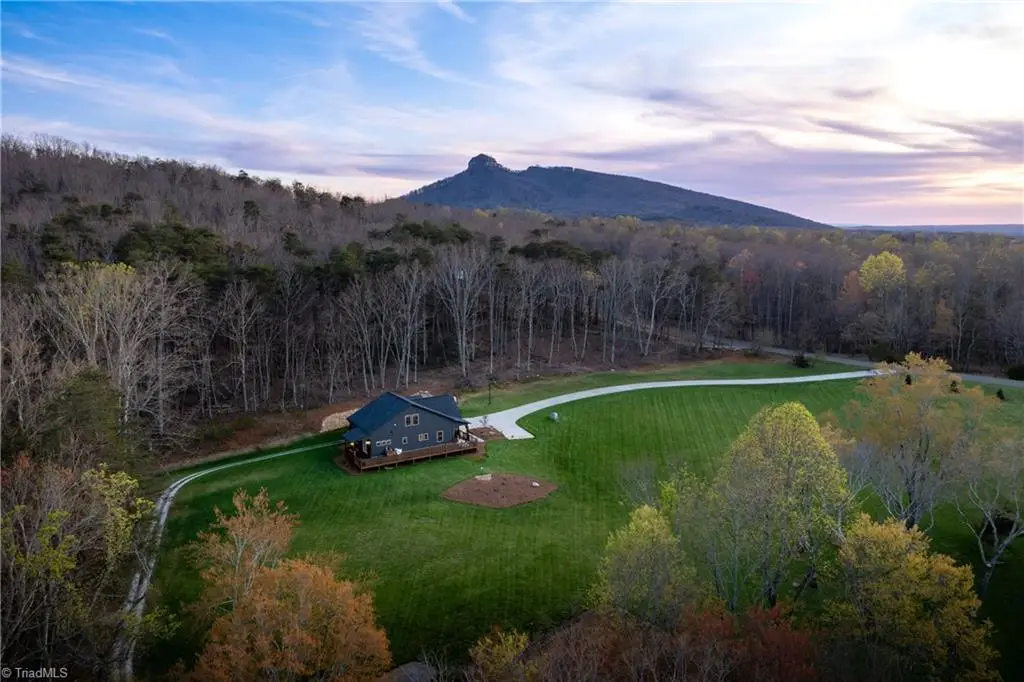 1626 Black Mountain Road, Pilot Mountain, NC 27041 - #1