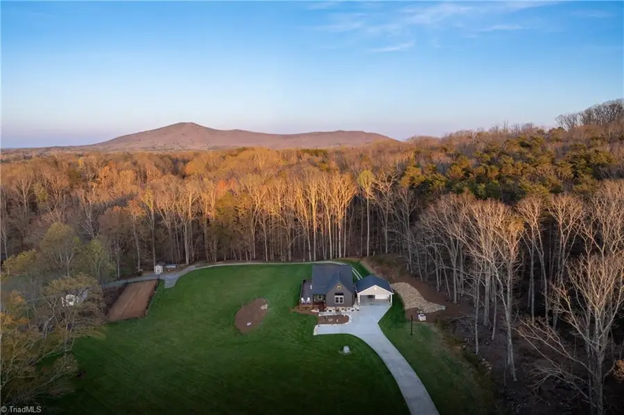 1626 Black Mountain Road, Pilot Mountain, NC 27041 - #2