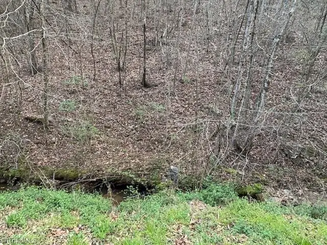 TBD N Marley Ford Road, Ferguson, NC 28624 - #3