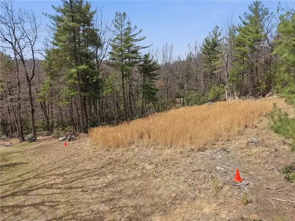 Lot 109 & 110 Pepper Bush Road, Purlear, NC 28665