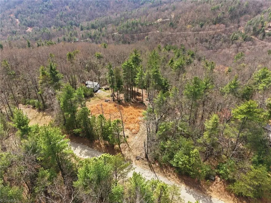 Lot 109 & 110 Pepper Bush Road, Purlear, NC 28665 - #3