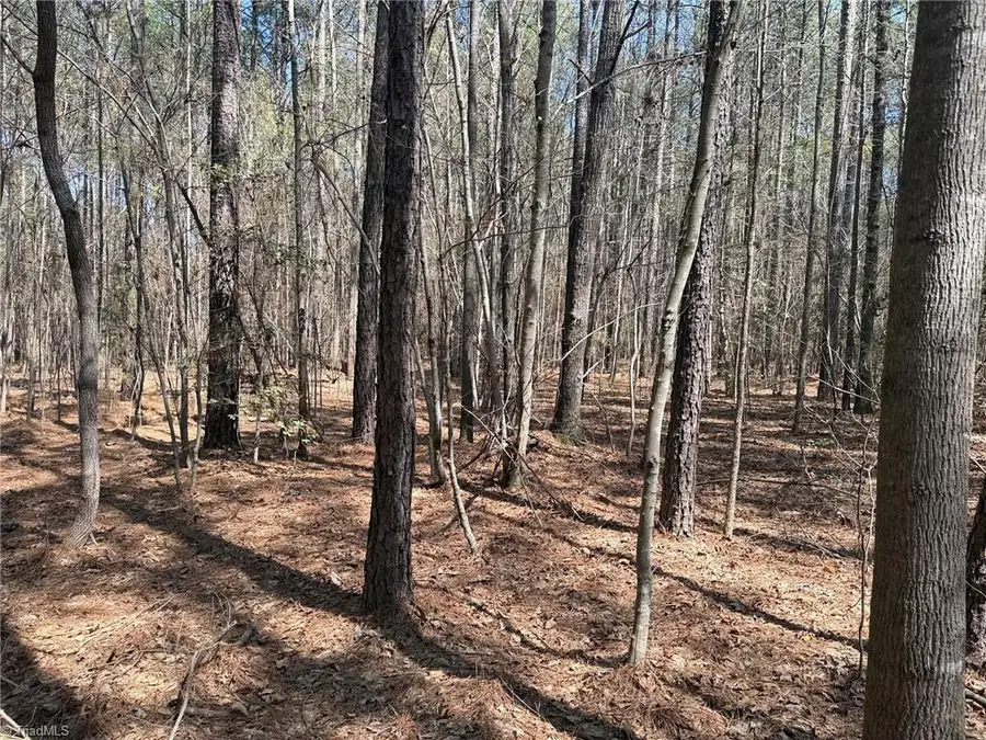 Lot 16 Willie Road, Seagrove, NC 27341 - #3