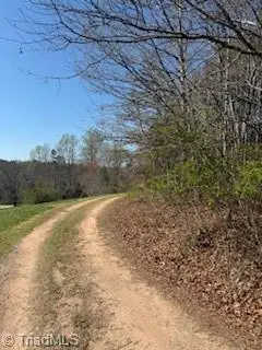 4675 Hickory Nut Ridge Road, Granite Falls, NC 28630 - #1