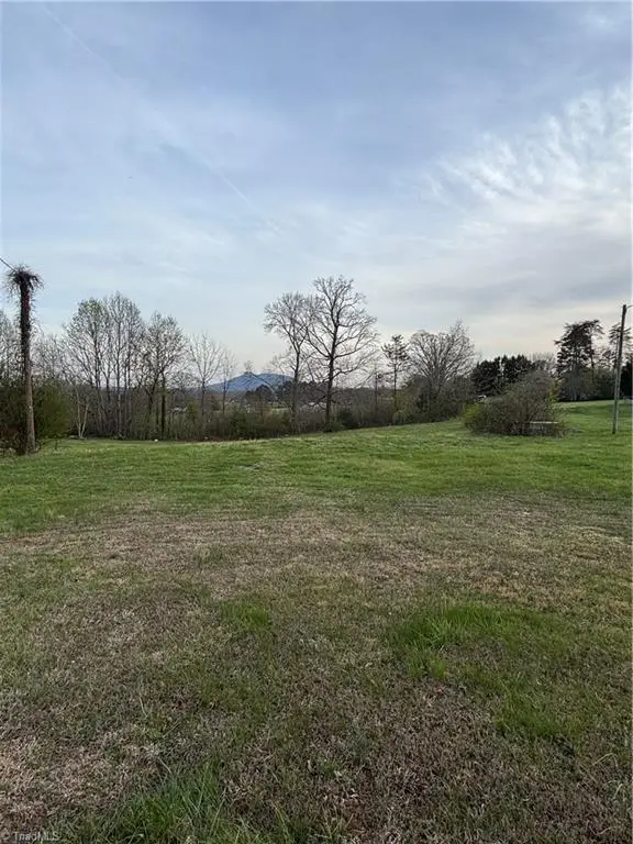 166 Springfield Road, Pilot Mountain, NC 27041 - #2