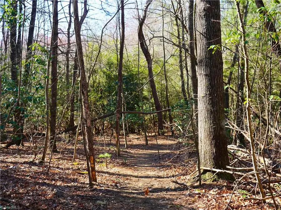 TBD Flagstone Way, Lowgap, NC 27024 - #3