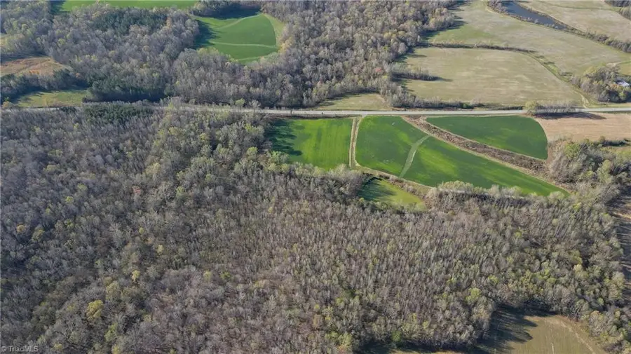 1337 Candy Creek Road, Reidsville, NC 27320 - #3