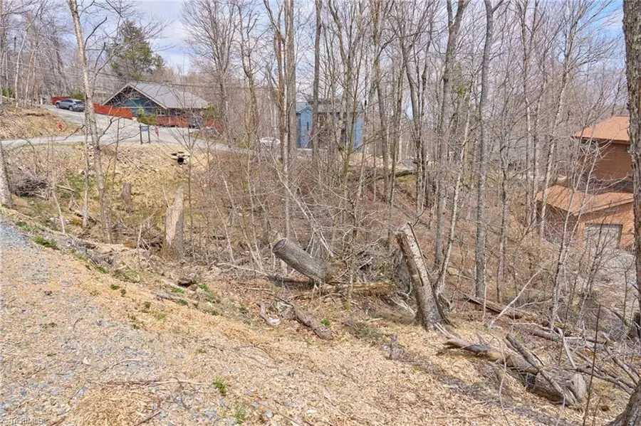 101 Foxgrape Hollow Road, Beech Mountain, NC 28604 - #3