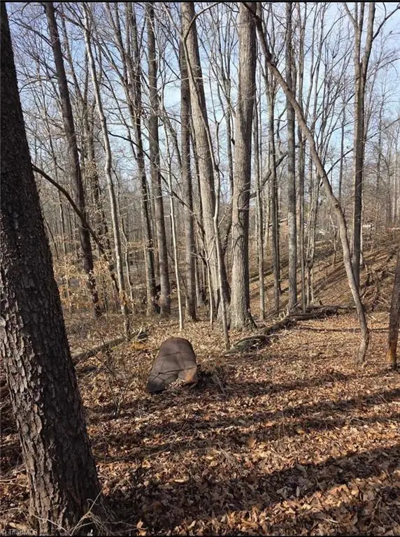 1065 Cedar Lane, Reidsville, NC 27320 - #2