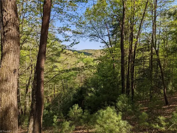 TBD Sutters Ridge Road #Lot 94, McGrady, NC 28649