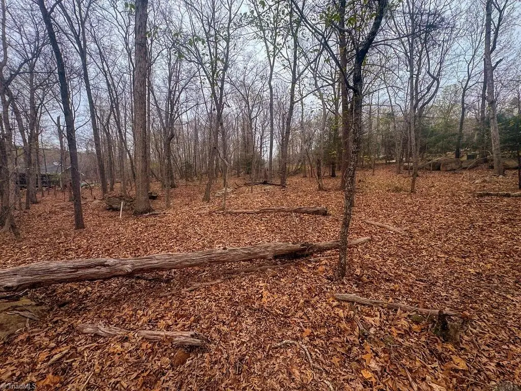 324 Rocky Cove Lane, Denton, NC 27239 - #1