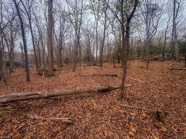 324 Rocky Cove Lane, Denton, NC 27239