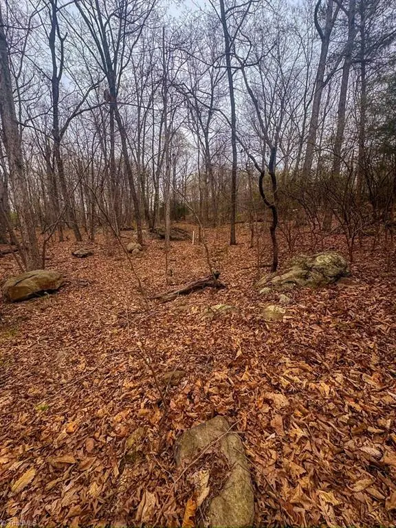 324 Rocky Cove Lane, Denton, NC 27239 - #2